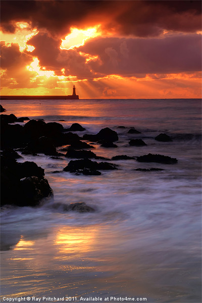 Sunrise at South Shields Picture Board by Ray Pritchard
