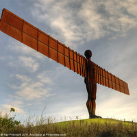 Buy canvas prints of Angel Of The North by Ray Pritchard