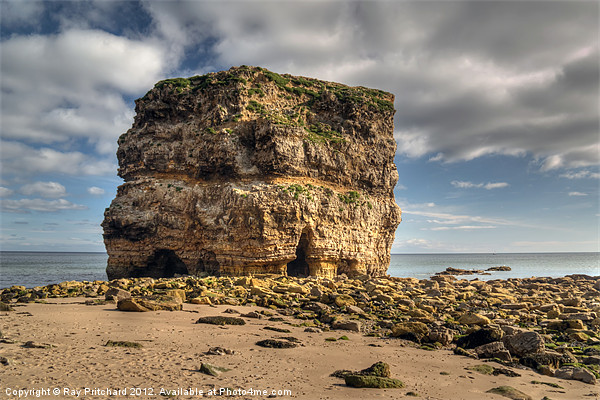 Whats Left Of Marsden Rock Picture Board by Ray Pritchard