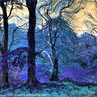 Buy canvas prints of Painted Trees by Ray Pritchard