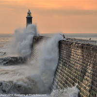 Buy canvas prints of Tynemouth Lighthouse by Ray Pritchard