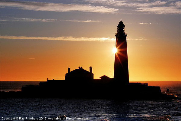 St Marys Lighthouse Picture Board by Ray Pritchard
