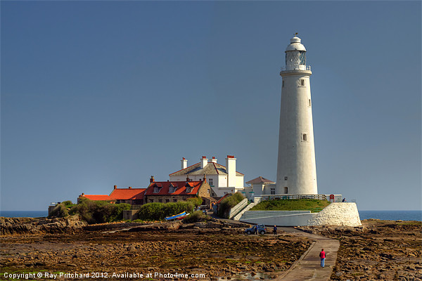 St Marys Lighthouse Picture Board by Ray Pritchard