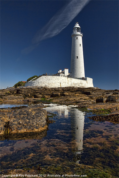 St.Mary's Lighthouse Picture Board by Ray Pritchard