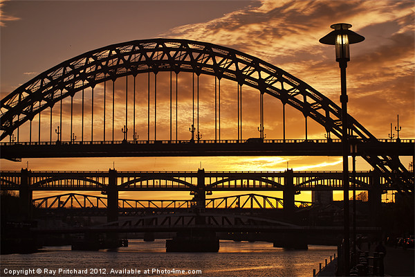 Newcastle at Sunset Picture Board by Ray Pritchard