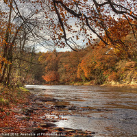 Buy canvas prints of Autumn On The River Wear by Ray Pritchard