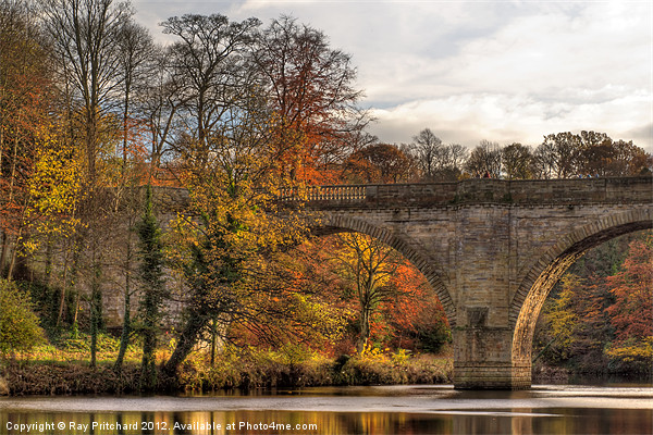 Prebends Bridge in Autumn Picture Board by Ray Pritchard