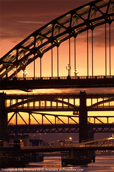Sunset Through The Bridges at Newcastle Picture Board by Ray Pritchard