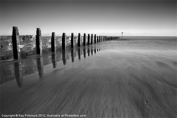 Groynes On Blyth Beach Picture Board by Ray Pritchard
