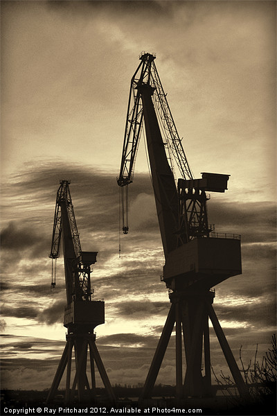 Vintage Cranes Picture Board by Ray Pritchard
