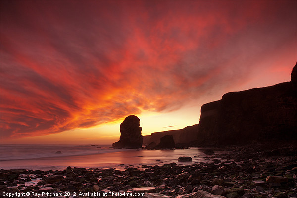 Sunrise at Marsden Bay Picture Board by Ray Pritchard