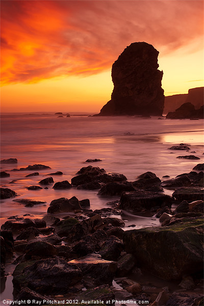 Marsden Bay Picture Board by Ray Pritchard