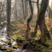 Buy canvas prints of Mystic Woods by Ray Pritchard