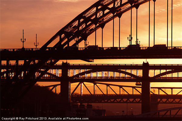 Newcastle Bridges at Sunset Picture Board by Ray Pritchard