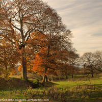 Buy canvas prints of Autumn in Great Lumley by Ray Pritchard