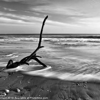 Buy canvas prints of Washed up Mono by Ray Pritchard