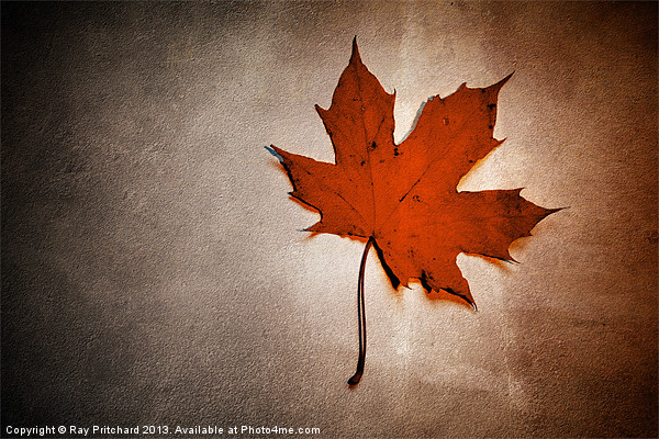 Simple Leaf Picture Board by Ray Pritchard