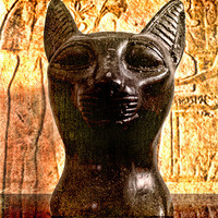 Buy canvas prints of Egyptian Cat by Ray Pritchard