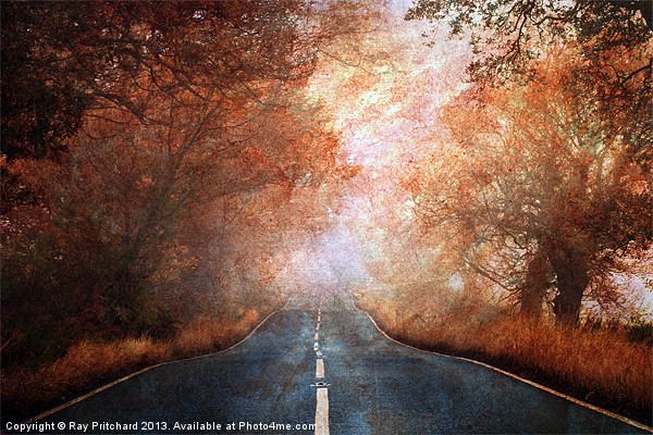 Road To Nowhere(Textured) Picture Board by Ray Pritchard