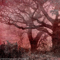 Buy canvas prints of Textured Trees by Ray Pritchard