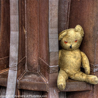Buy canvas prints of Bear Angel by Ray Pritchard