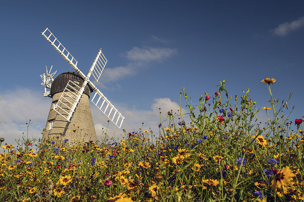Whitburn Windmill Picture Board by Ray Pritchard