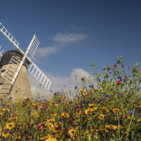 Buy canvas prints of Whitburn Windmill by Ray Pritchard