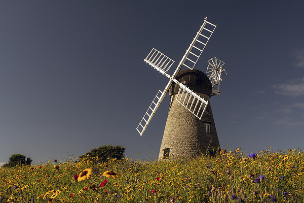 Whitburn Mill Picture Board by Ray Pritchard