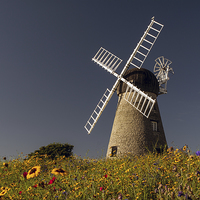 Buy canvas prints of Whitburn Mill by Ray Pritchard