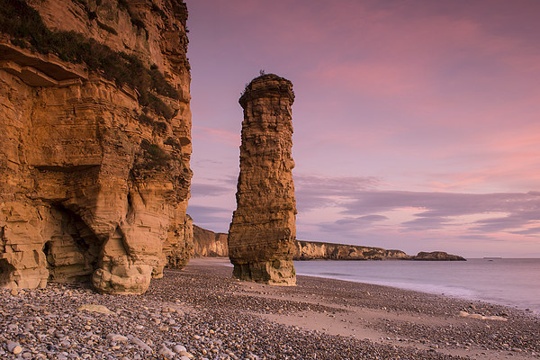 Marsden Bay Sea Stack Picture Board by Ray Pritchard