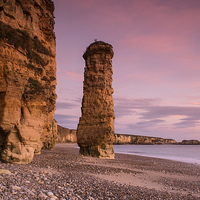 Buy canvas prints of Marsden Bay Sea Stack by Ray Pritchard