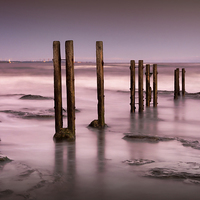 Buy canvas prints of Old Wooden Posts by Ray Pritchard