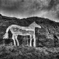 Buy canvas prints of Grungy White Horse by Ray Pritchard