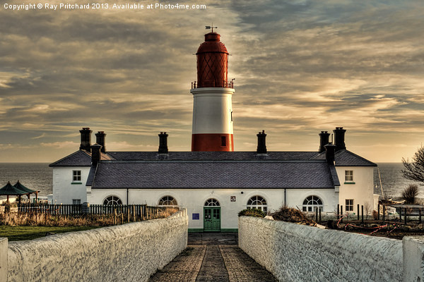 Souter Lighthouse HDR Picture Board by Ray Pritchard