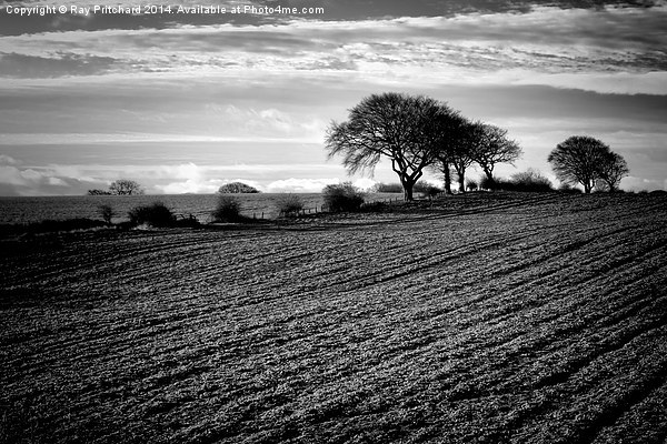 Winter Fields Picture Board by Ray Pritchard