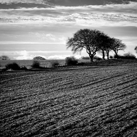 Buy canvas prints of Winter Fields by Ray Pritchard