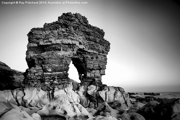 Rock Arch at Whitburn Point Picture Board by Ray Pritchard