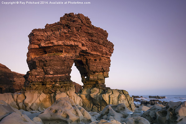 Rock Arch at Whitburn Point Picture Board by Ray Pritchard