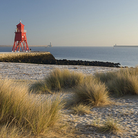 Buy canvas prints of South Shields Groyne and Herd Lighthouse by Ray Pritchard