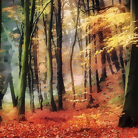 Buy canvas prints of Painted Woods by Ray Pritchard