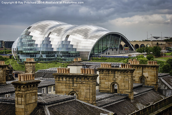 The Sage over Rooftops Picture Board by Ray Pritchard