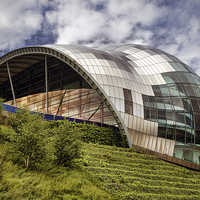 Buy canvas prints of The Sage by Ray Pritchard