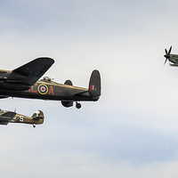 Buy canvas prints of  Battle of Britain Memorial Flight by Ray Pritchard