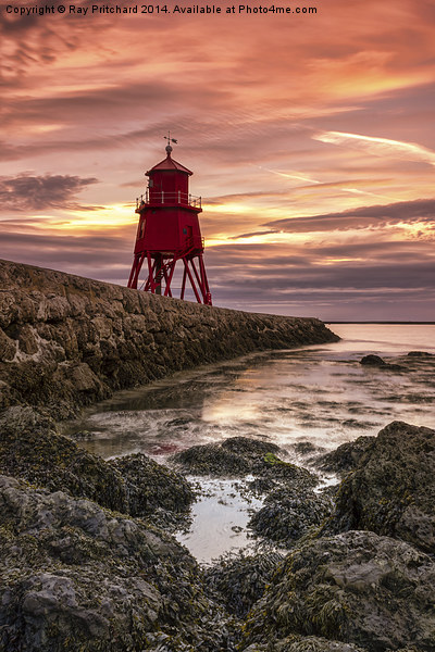  Herd Lighthouse at South Shields Picture Board by Ray Pritchard