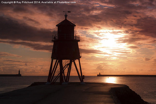 Herd Lighthouse after Sunrise Picture Board by Ray Pritchard