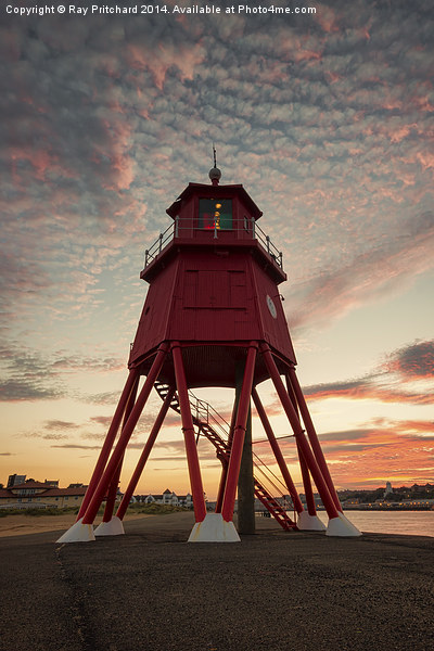  Herd Lighthouse at Sunset Picture Board by Ray Pritchard