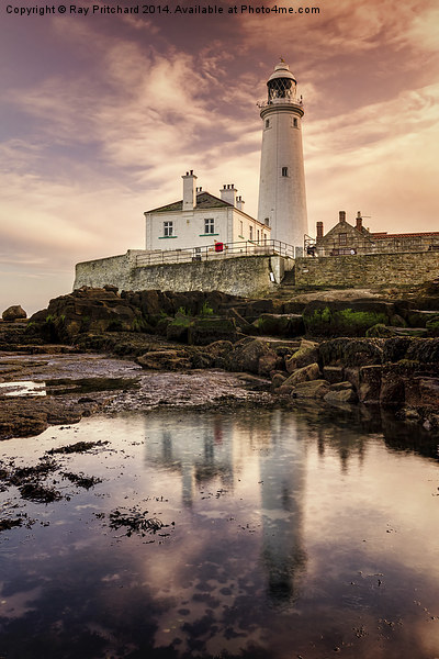  St Marys Lighthouse Picture Board by Ray Pritchard