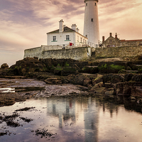 Buy canvas prints of  St Marys Lighthouse by Ray Pritchard