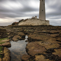 Buy canvas prints of  St Marys Lighthouse  by Ray Pritchard