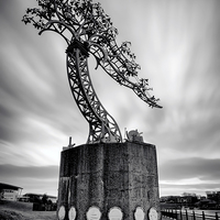 Buy canvas prints of  Metal Tree by Ray Pritchard